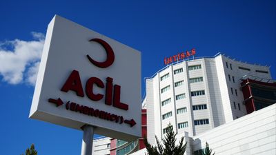 Hayvan otlatma meselesi silahlı kavgaya dönüştü: Yaşlı adam çobanı av tüfeğiyle yaraladı