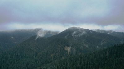 Ilgaz Dağı beyaza büründü, ortaya kartpostallık görüntüler çıktı