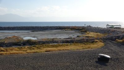 Van Gölü alarm veriyor