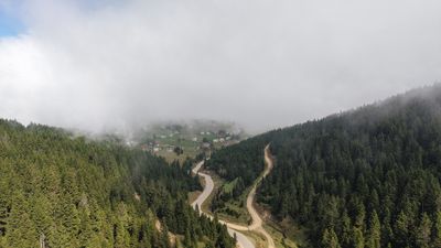 Doğu Karadeniz için heyelan uyarısı: Ağaçlandırma şart