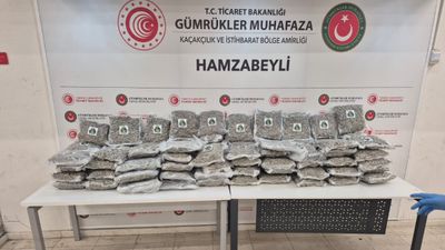 Türkiye-İspanya iş birliği ile sınır aşan uyuşturucu operasyonu