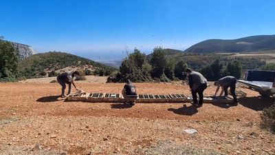 Hatay'da saka kuşu kaçakçılığına 10 milyon 897 bin TL ceza