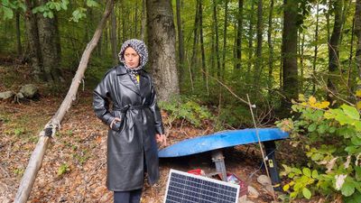 Kütahya’da genç girişimcinin ahududu tarlası ayılara kurban gitti