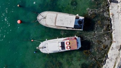 Müsilajdan etkilenen balıkçılara ek destek ödemesi Resmi Gazete'de