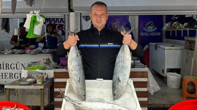 Bandırma Balık Hali'nde sezon hareketli geçiyor