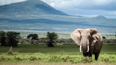2050’ye kadar yok olma tehlikesi taşıyan UNESCO Dünya Mirası yerleri
