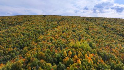 Tokat’ta sonbahar güzelliği