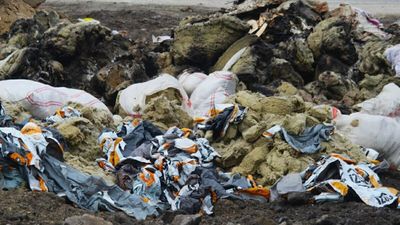 Aydın'da sulak alanlar tehlikede: Ekosistem çöküyor
