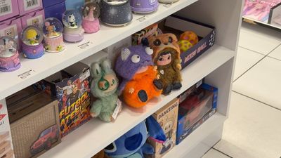 İstanbul'da popüler oyuncak 'Labubu' çılgınlığı hırsızlıkla bitti