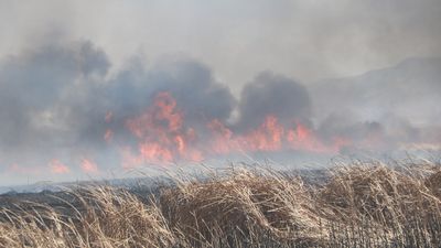 Hakkari'de Nehil Sazlığı'nda yangın paniği