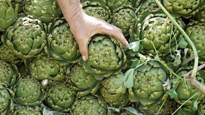 Kalp sağlığından, karaciğer temizliğine: Enginarın 7 faydası