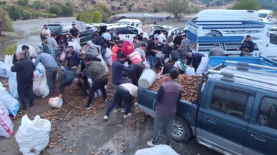 Siirt'te arızalanan kamyondaki patatesleri ücretsiz dağıttı