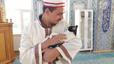 Erzurumlu imamdan kedilere şefkat eli