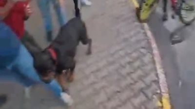 Mersin'de ağızlıksız dolaştırılan köpek 2 kişiyi yaraladı: O anlar kask kamerasında
