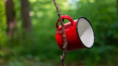 Kış gelmeden bahçeye bir bardak asın: Etkisini gören herkes şaşırıyor