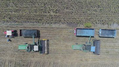 Çiftçilere yaklaşık 2,8 milyar lira destekleme ödemesi yapıldı