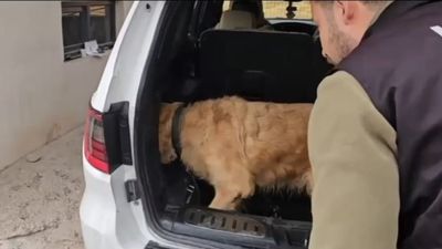 Hakkari'de gümrükte kontrol yapıldı: Lüks otomobilden 60 kilogram metamfetamin çıktı