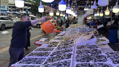 Karadeniz'de hamsi bolluğu: Rize'de 100 Sinop'ta 50 lira