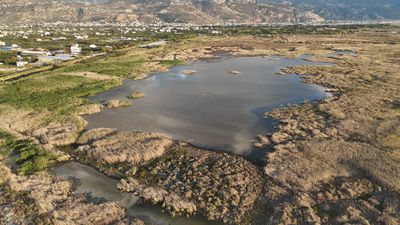 Hatay'da kuraklıktan çöle dönen Milleyha'da yağışlarla beraber kuş sesleri yeniden duyulmaya başladı