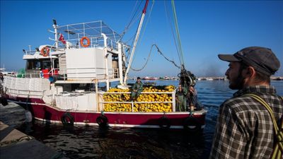 Maaş 80 bin lirayı buldu: Gençler teknelerde çalışmak istemiyor