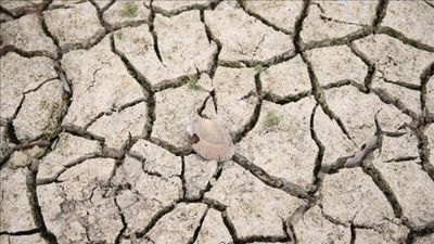 Türkiye'de kuraklık 10 yıllık ortalamanın yüzde 10 üzerinde