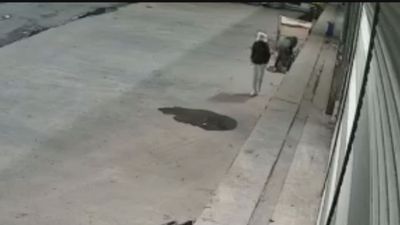 İstanbul'da güvercin hırsızlığı: Hırsız tanınmamak için kafasına poşet taktı