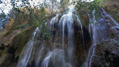 Giresun Kuzalan Tabiat Parkı ve Kulakkaya Yaylası'nda renk cümbüşü
