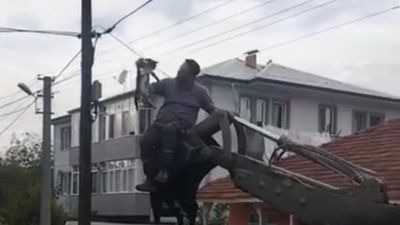 Düzce'de köpeklerden kaçan kedi direkte mahsur kaldı