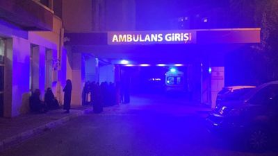 Muş'ta yıldırım isabet eden çoban hayatını kaybetti