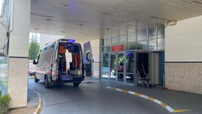 Bolu'da 'deli dana' vakası