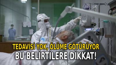 Türkiye’de görüldü, tedavisi yok… İşte deli dana hastalığının belirtileri