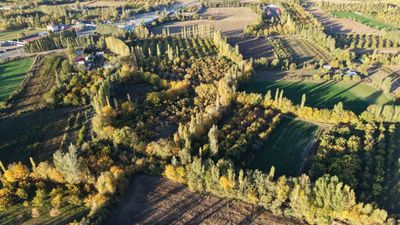Yurt dışı değil, Türkiye: Burayı gören tablo sanıyor...