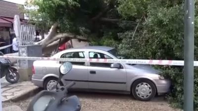 Antalya'da devrilen ağacın altında kalmaktan son anda kurtuldu