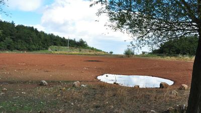 Manisa'da geçen yıl tankerlerle taşınan su ile kurtarılan Sülüklü Göl, tamamen kurudu
