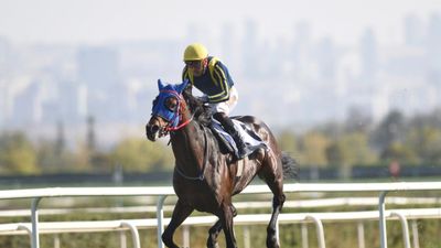 87. Cumhurbaşkanlığı Koşusu'nda Grande Flusso zaferi