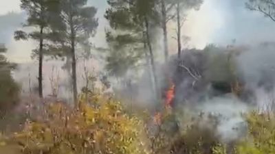 Mersin'de temizlik için ateş yaktığı bahçede alevlerin arasında kaldı: Yanarak can verdi