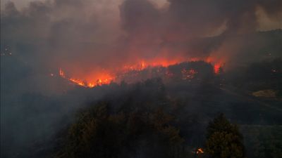 İzmir'de minibüste başlayıp ormana sıçrayan yangın: 4 sanığa 7'şer yıl hapis istemi
