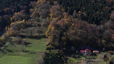 Hamsiköy sonbaharda renk cümbüşüne büründü