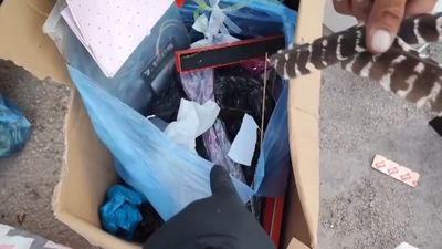 Bursa'da çöp çöp dolaşıyorlar: Buldukları ise servet değerinde