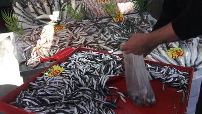 Çankırı'da 100 liraya hamsi tezgahlarda