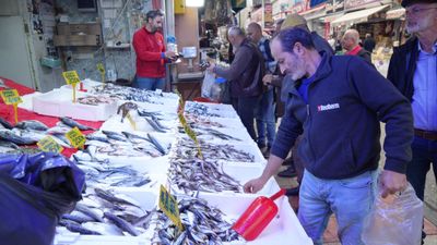 Samsun'da tezgahlardaki hamsi bolluğu sürüyor