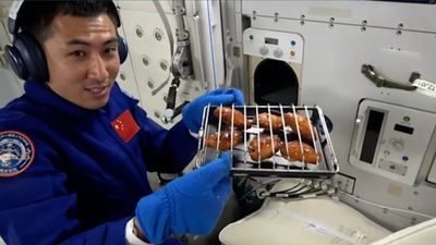 Çinli taykonotlar uzayda ilk kez ızgara et ve tavuk pişirdi