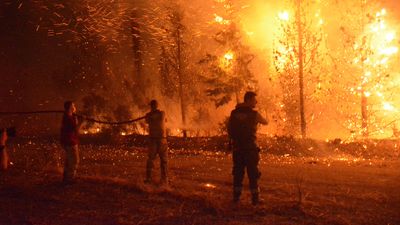 Çanakkale'de 2025 yılında çıkan orman yangınlarda bilanço