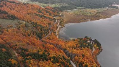 Bolu’nun doğa harikası Abant'a ziyaretçiler yoğun ilgi gösteriyor