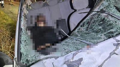 Diyarbakır'da otomobillerin ata çarptığı kazada 1 kişi öldü