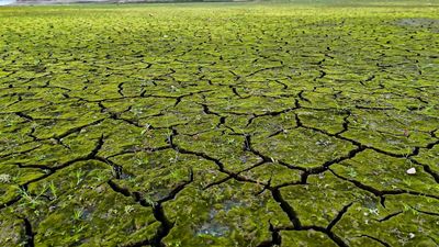 İstanbul'da kuraklığın izleri havadan görüntülendi
