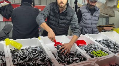 Zonguldak'ta hava şartları hamsi fiyatını yükseltti