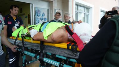 Kastamonu'da mantar toplayan imama ayı saldırdı