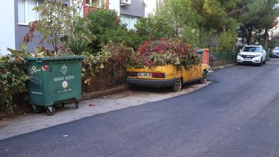 İzmir'de 8 yıldır park halindeki otomobili sarmaşıklar kapladı