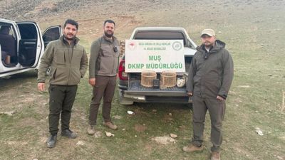 Muş’ta kaçak kafes avcılığına suçüstü: 20 bin lira ceza